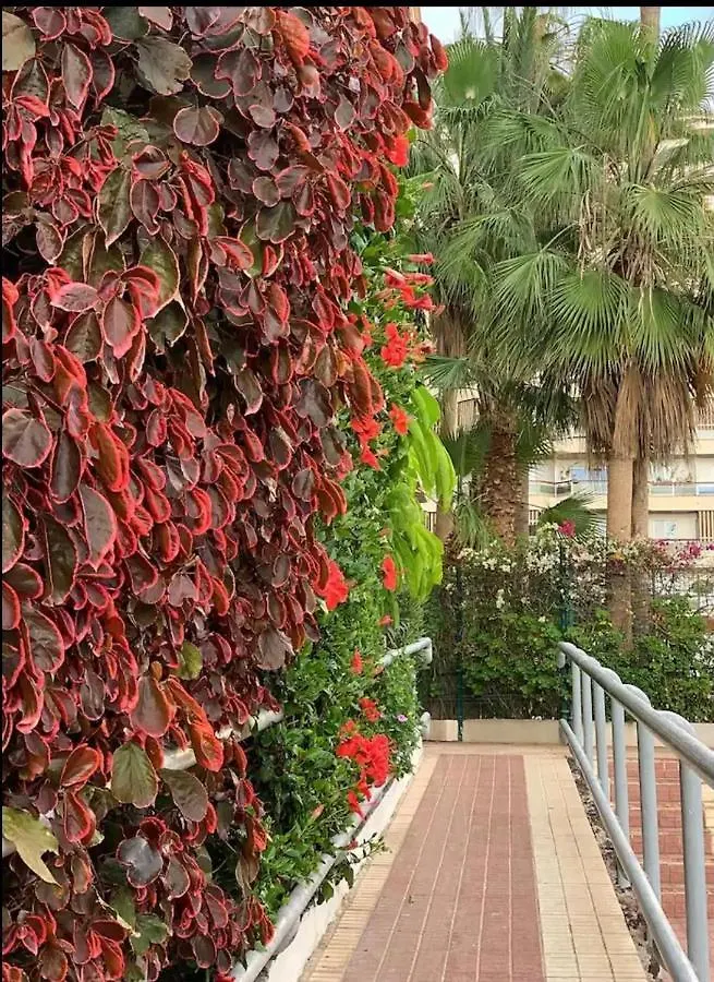 Casa Eneri Daire Los Cristianos